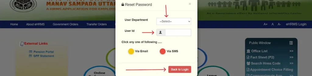 Forgot-Password-Reset (1)